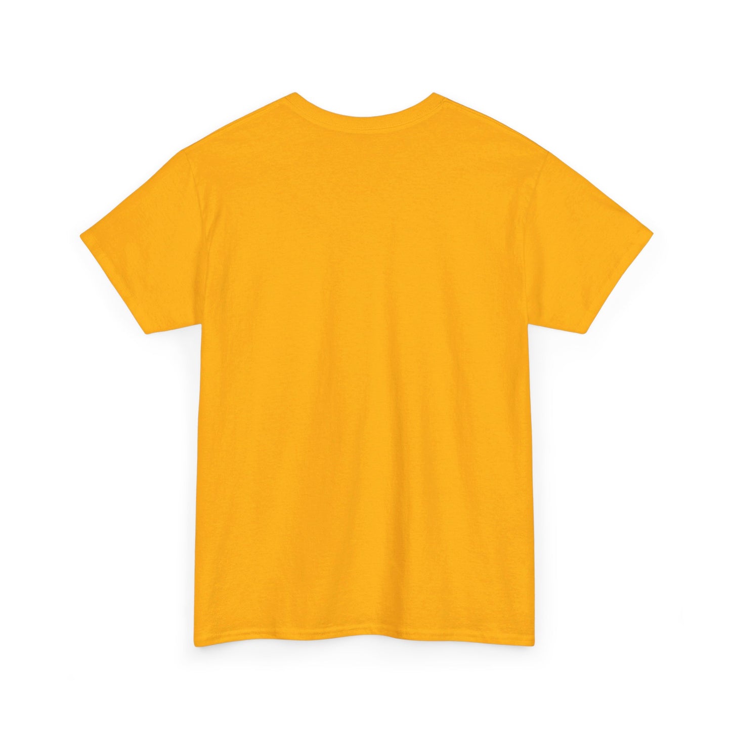 Fitzboyzprintz - Rebel Stance Unisex Heavy Cotton Graphic Tee
