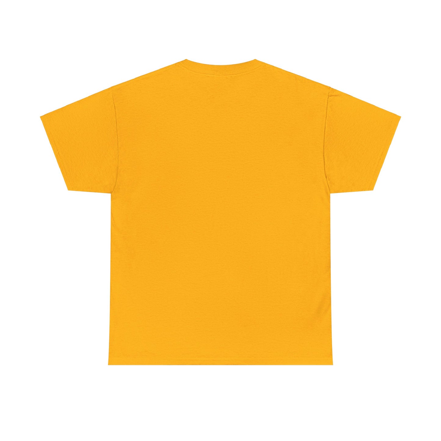 Fitzboyzprintz - Rebel Stance Unisex Heavy Cotton Graphic Tee