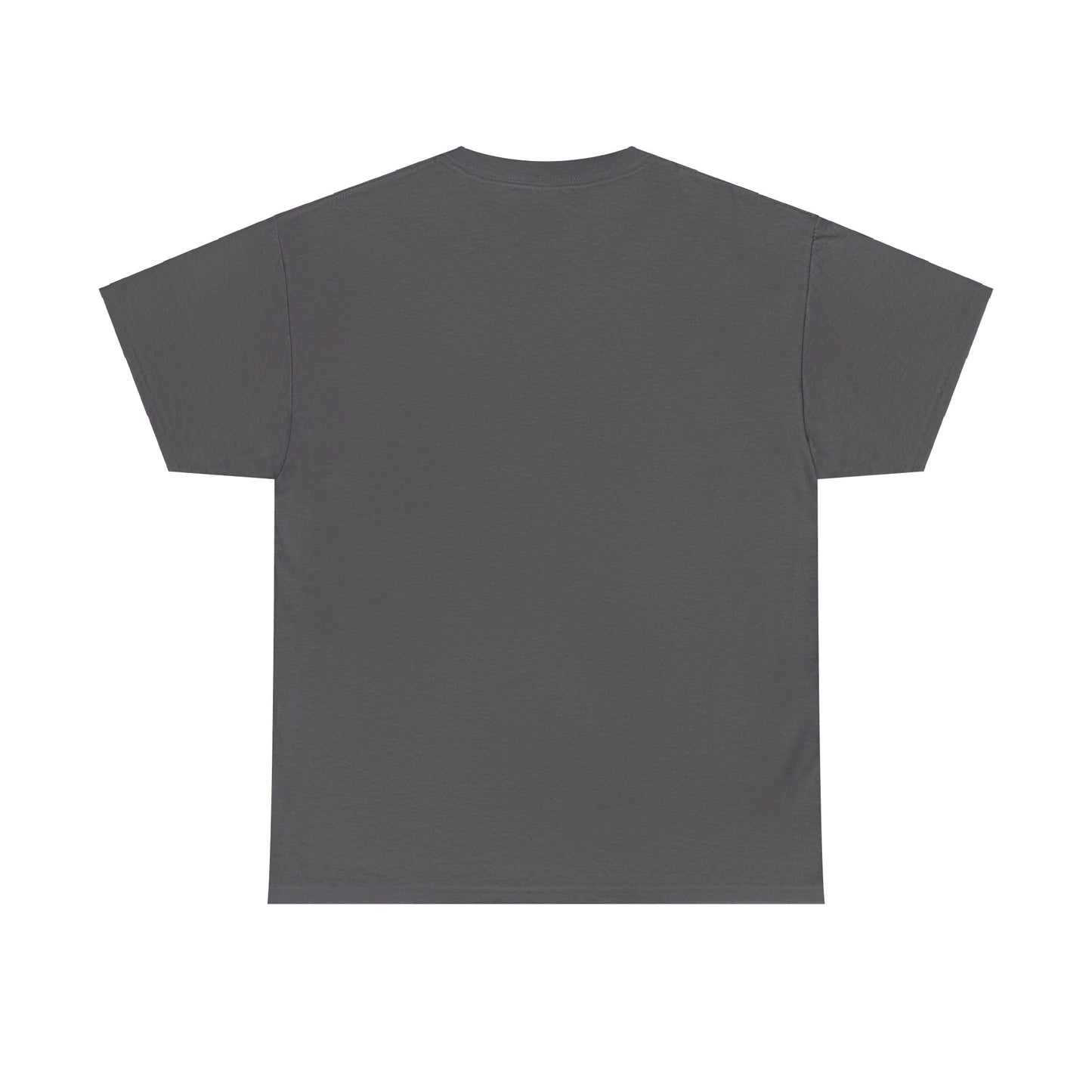 Fitzboyzprintz - Rebel Stance Unisex Heavy Cotton Graphic Tee