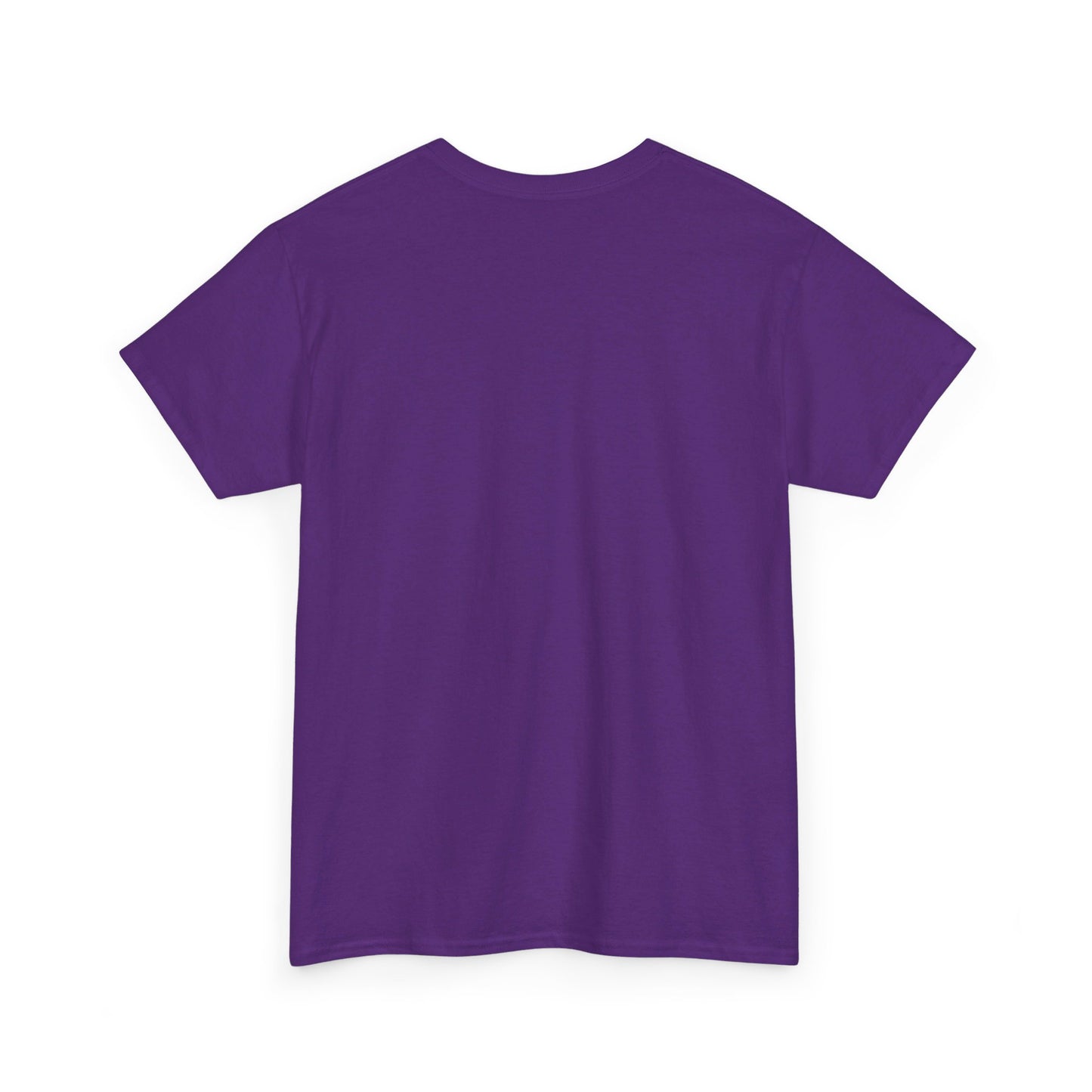 Fitzboyzprintz - Rebel Stance Unisex Heavy Cotton Graphic Tee