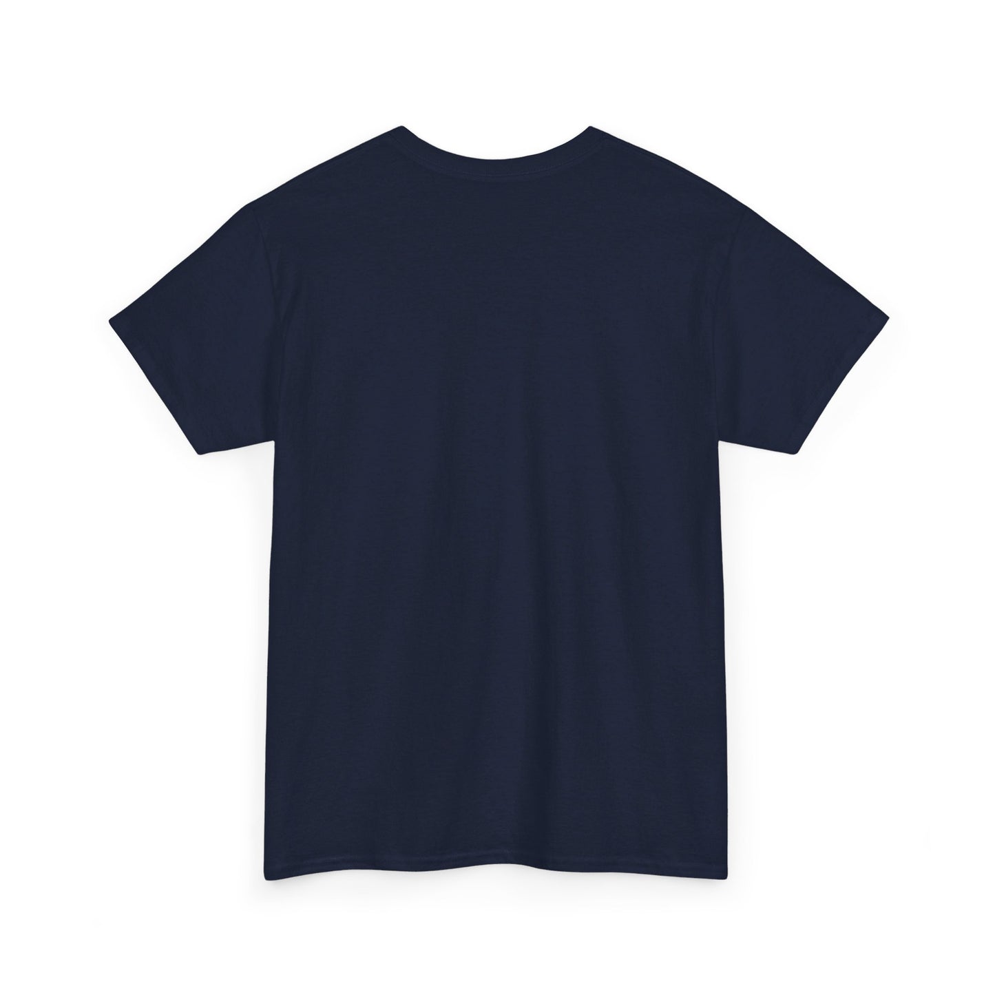 Fitzboyzprintz - Rebel Stance Unisex Heavy Cotton Graphic Tee