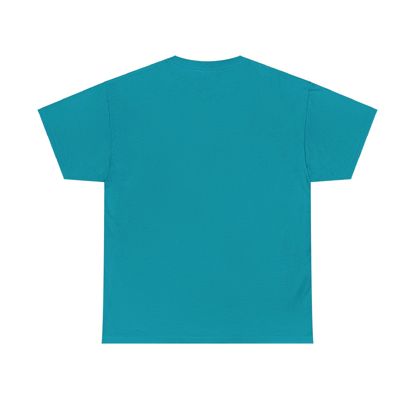Fitzboyzprintz - Rebel Stance Unisex Heavy Cotton Graphic Tee
